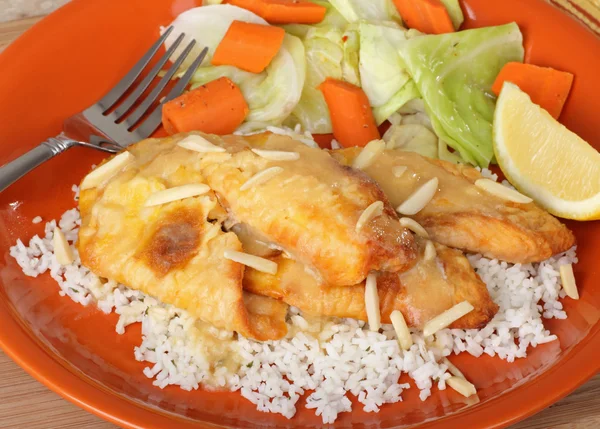 Filete de pescado sobre arroz —  Fotos de Stock