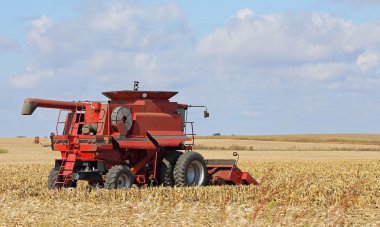 Mısır birleştirerek