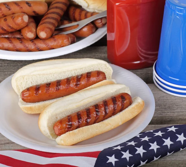 Férias piquenique Hot Dogs — Fotografia de Stock