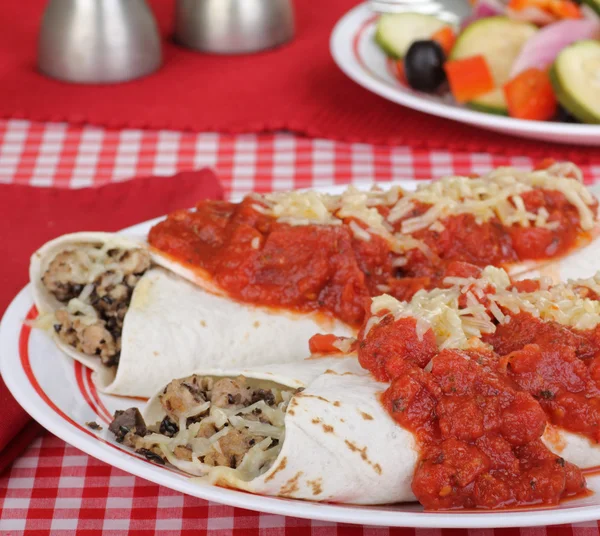 Enchiladas and Sauce — Stock Image Enchiladas and Sauce Royalty Free Stock Images