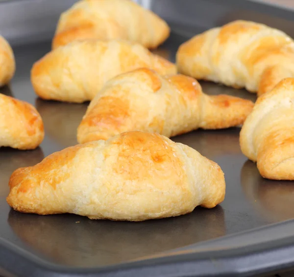 Crescent Rolls — Stock Photo, Image