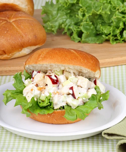 Sandwich salade de poulet — Photo