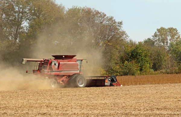 Harvesting Soybeans — Stock Photo, Image