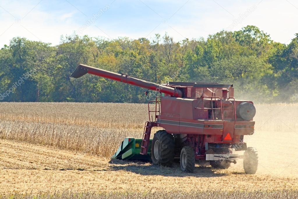 Harvesting Soybeans