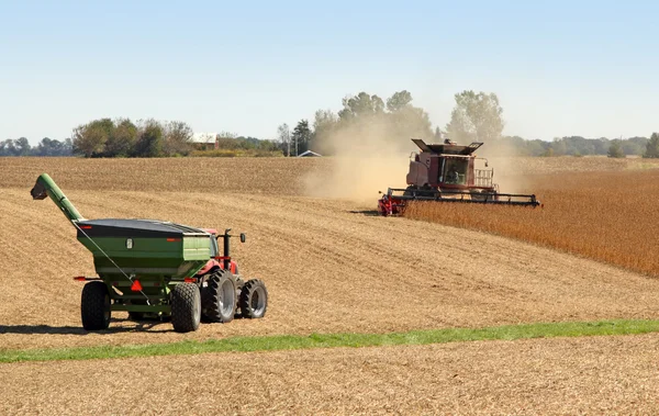 Combining Soybeans — Stock Photo, Image