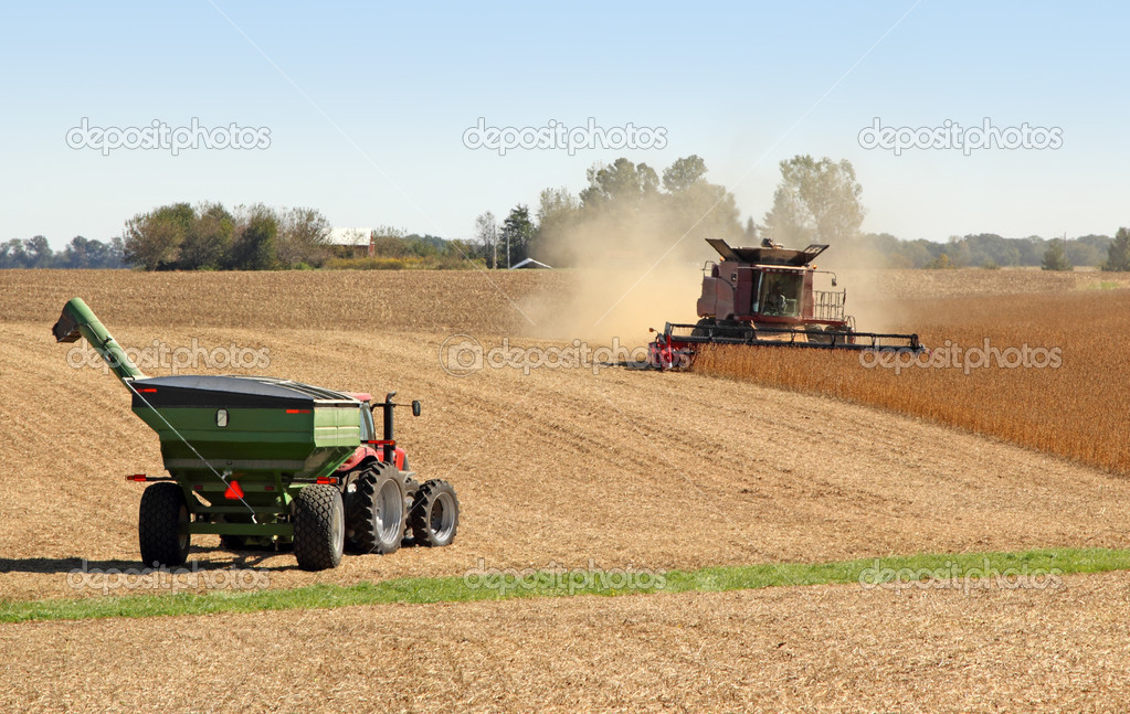 Combining Soybeans
