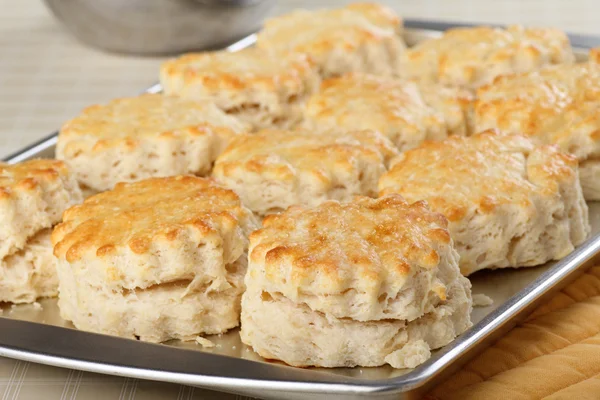Biscuits cuits au four — Photo