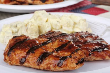 ızgara tavuk göğsü