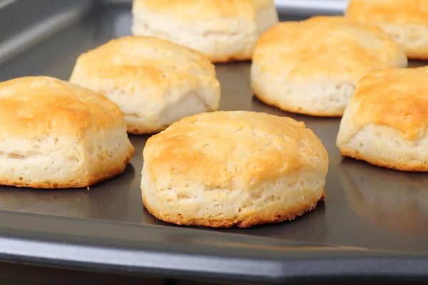 Buttermilk Biscuits — Stock Photo, Image