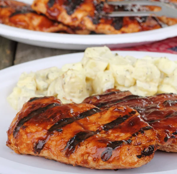 Grilled Chicken Meal — Stock Photo, Image