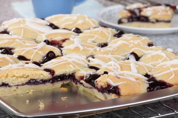 Baked Blueberry Bars — Stock Photo, Image