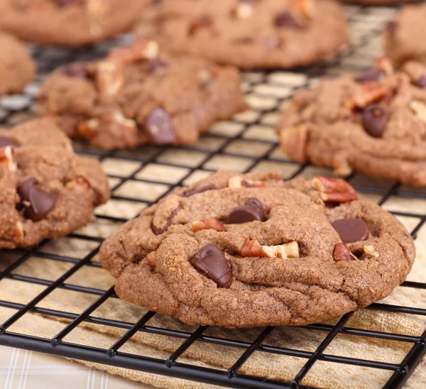 Chocolade chip cookies close-up — Stockfoto