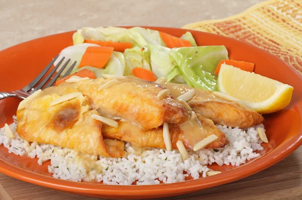 Fish and Rice — Stock Photo, Image