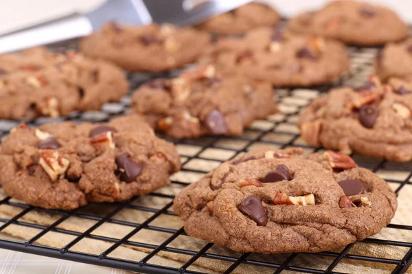 Chocolate Chip Cookies Cooling — Stock Photo, Image