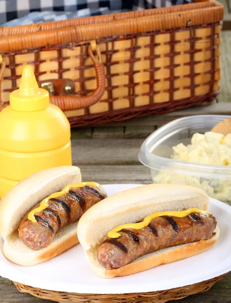Grillezett bratwurst piknik — Stock Fotó