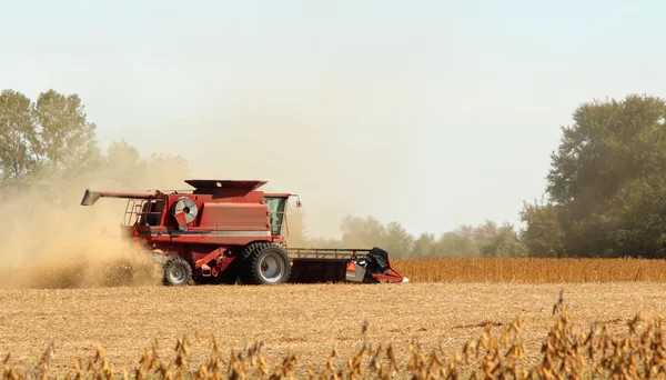 Combining Soybeans — Stock Photo, Image