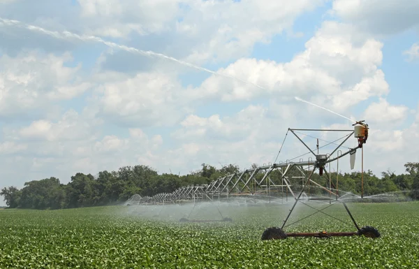 Irrigation d'un champ de soja — Photo