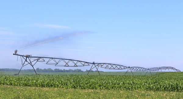 Zalévání kukuřičné pole — Stock fotografie