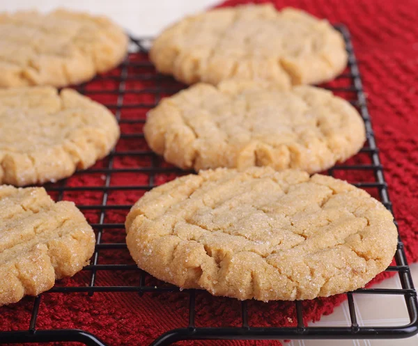 Házi mogyoróvaj cookie-k — Stock Fotó