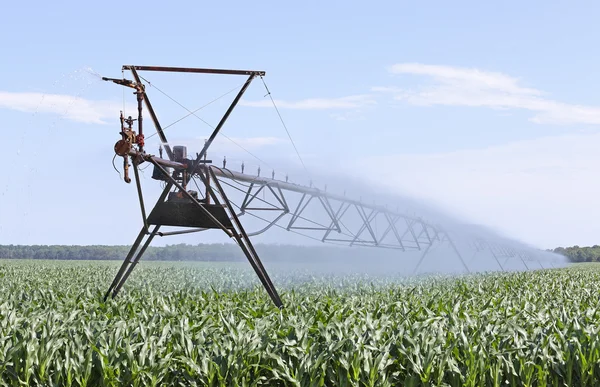 Irrigazione del mais — Foto Stock
