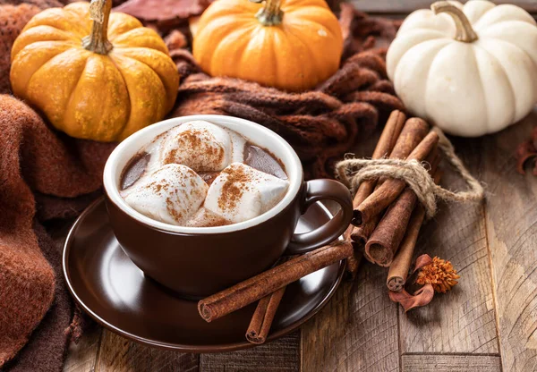 Copa Chocolate Caliente Con Malvaviscos Canela Con Calabazas Manta Fondo — Foto de Stock