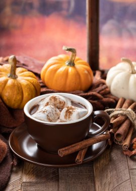 Bir fincan sıcak çikolata, marşmelov ve kabaklı tarçın ve sonbahar arkaplanlı bir pencerenin yanında battaniye.