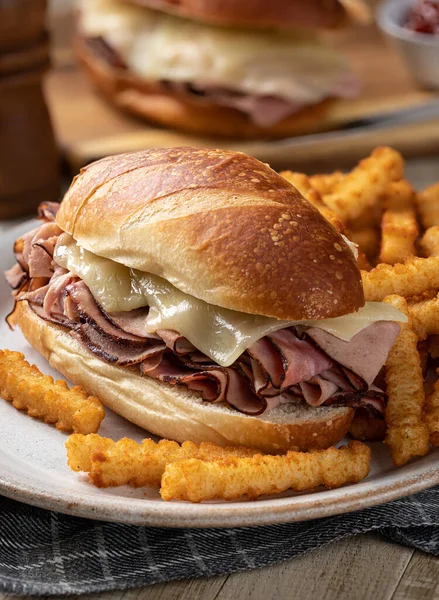 Hot Ham Cheese Submarine Sandwich French Fries Plate — ストック写真