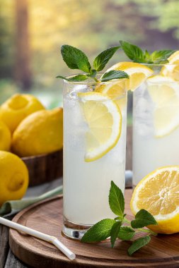 İki bardak limon dilimli soğuk limonata, kırsal bir zeminde nane ve buz küpleri.