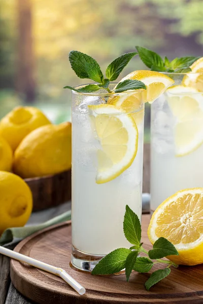 Дві Склянки Холодного Лимонаду Скибочками Лимона Ятою Кубиками Льоду Дерев — стокове фото