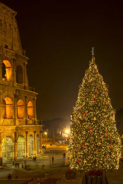体育馆和圣诞树在罗马，意大利 图库照片