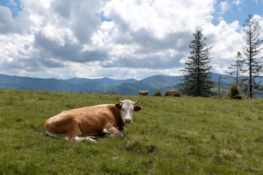 Dağlarda güzel bir gün batımı