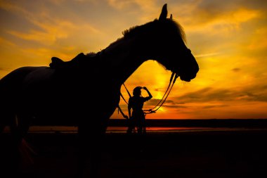 güzel bir günbatımı manzarası