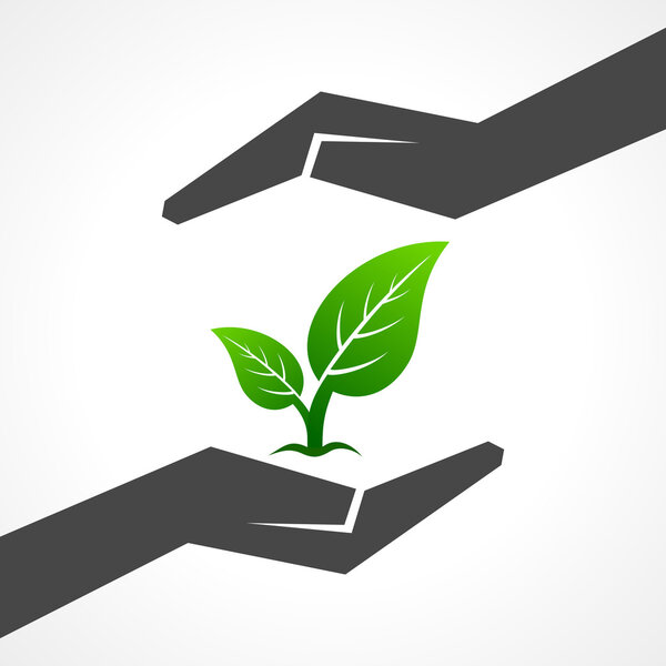 Концепция сохранения природы