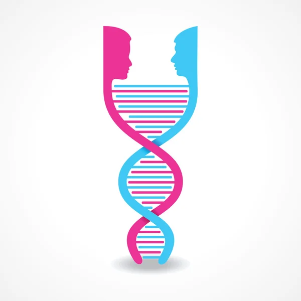 Male and female face make DNA s — Stock Vector