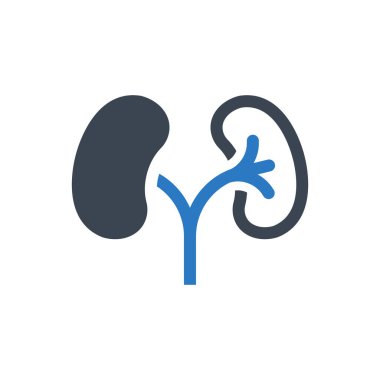 Kidneys organ icon (Simple vector illustration)