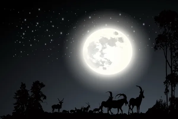Deer on the moonlight Landscape background vector — Stock Vector