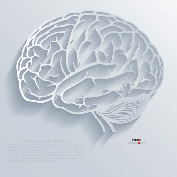 Sfondo cerebrale Astratto vettore di progettazione 3D — Vettoriale Stock