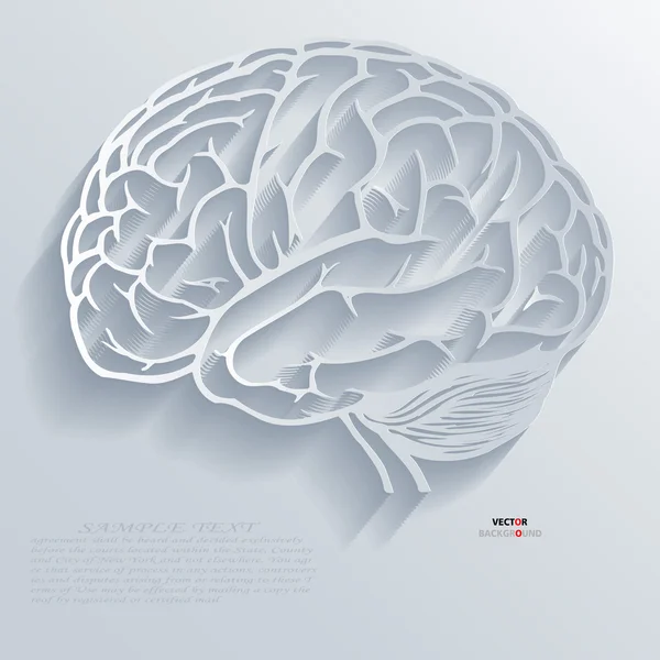 Mózg 3d streszczenie wektor Grafika Wektorowa