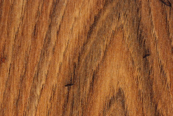 참나무 판자 — 스톡 사진
