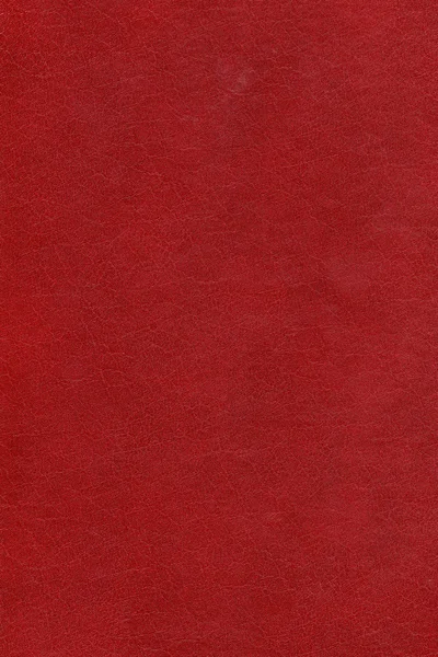 Red leather background — Stock Photo, Image