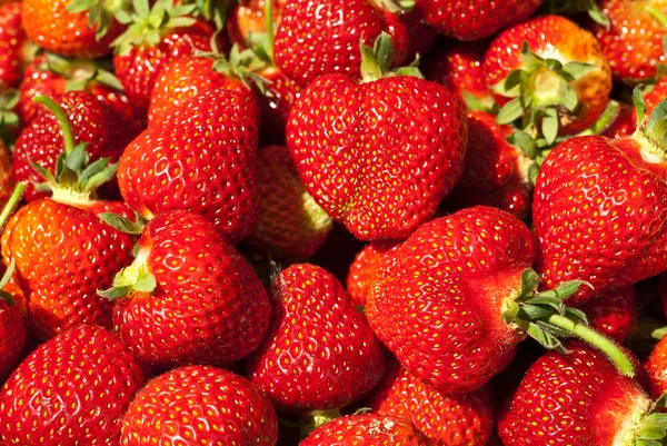 Aardbeien close-up — Stockfoto