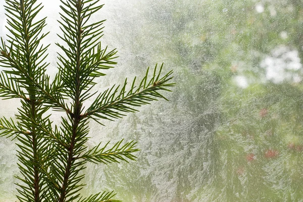 Sfondo di Natale — Foto Stock