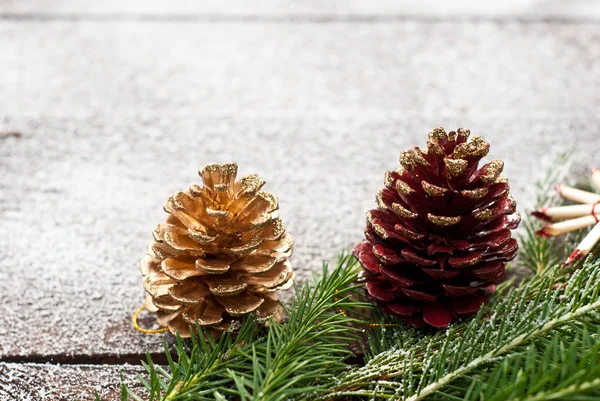 クリスマスの小ぎれいなな枝 — ストック写真