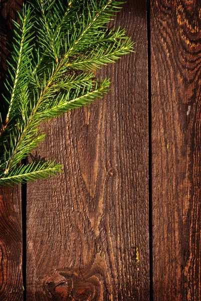 Spruce on planks — Stock Photo, Image