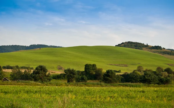 Зелені пагорби — стокове фото