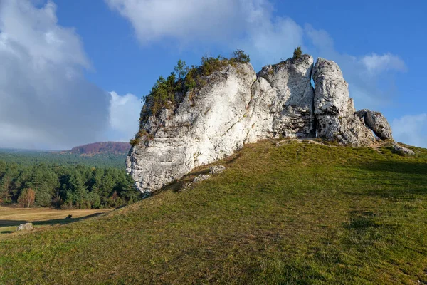 Kalkkikivi Kiviä Puolan Jura Krakowsko Czestochowska Lähellä Mirow — kuvapankkivalokuva