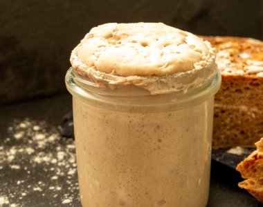Homemade sourdough starter in glass on dark background and graham bread