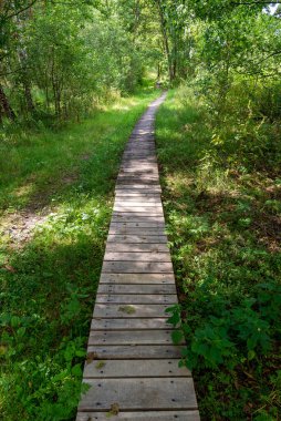 A wooden walking path over wetlands in the Poleski National Park.