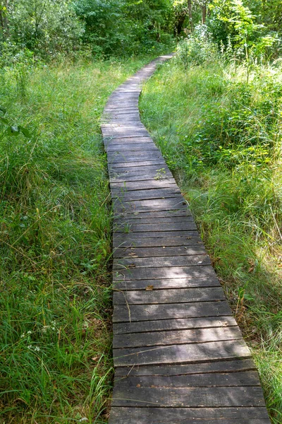 Wooden Walking Path Wetlands Poleski National Park — 스톡 사진