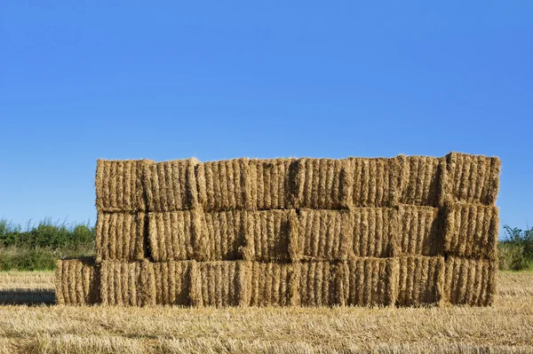 フィールドでは、イングランドの干し草のスタック. — ストック写真